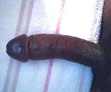 19 inch cock