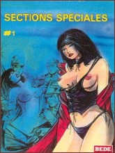 BDSM comics `The Special Section`, part 1