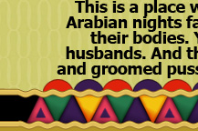 arab sex vids