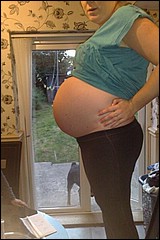 pregnant_girlfriends_2599.jpg