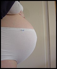 pregnant_girlfriends_2688.jpg